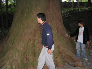 IMG_0650.JPG