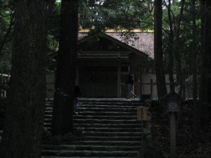IMG_0654.JPG