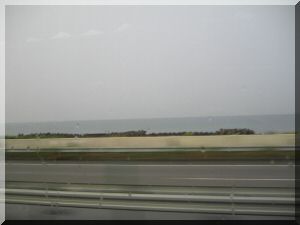 IMG_0780.JPG